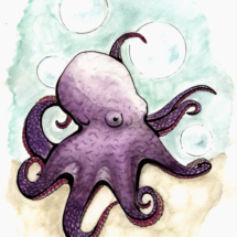 Octopus 1