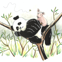 Panda piggy